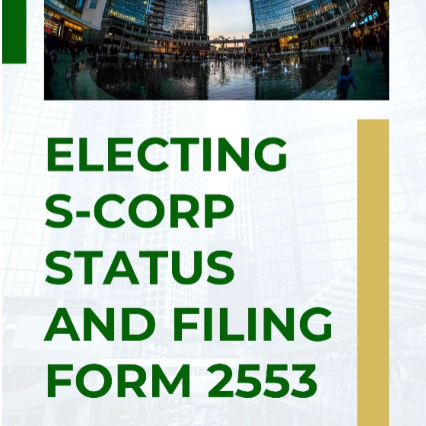 Electing S-Corp Status and Filing Form 2533 E-book