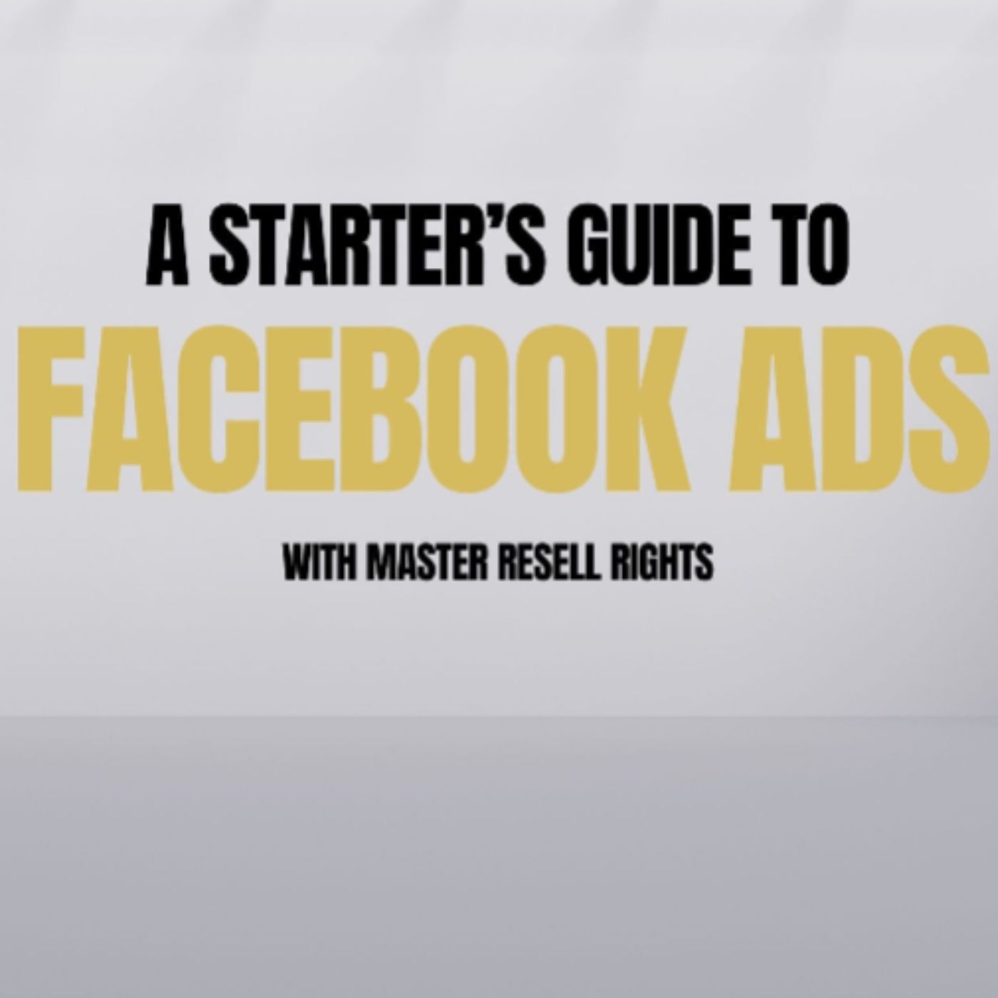 A Starter's Guide to Facebook Ads